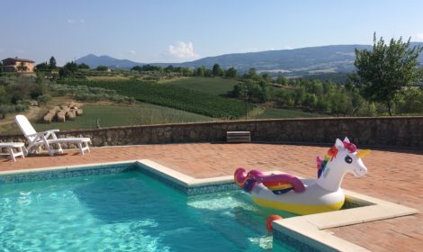 Swimming pool & panoramic garden