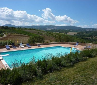 Lavender and swimming pool